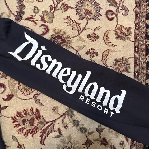 DISNEYLAND Fleece Joggers Men’s Small NWT - Picture 2 of 3